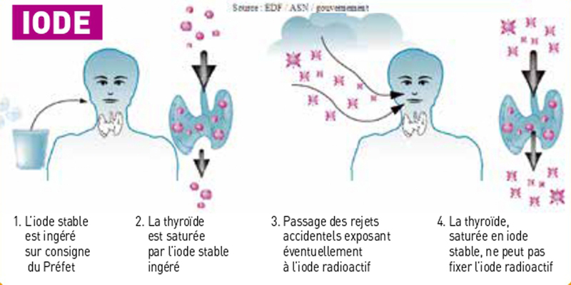 Image explicative sur l'effet des comprimés d'iode