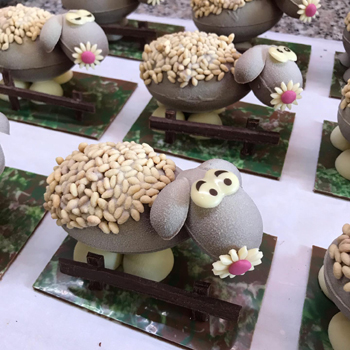 Le mouton frisé de Thierry Martin