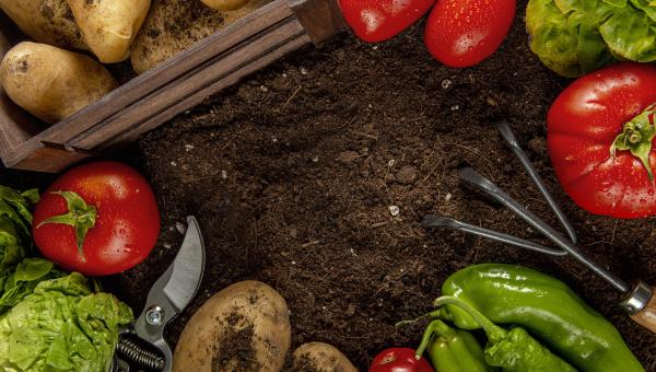 Produits alimentaires du Loiret