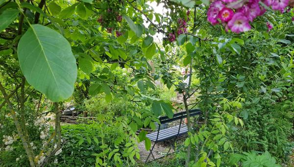 Sept lieux iconiques du Loiret - jardin Roquelin