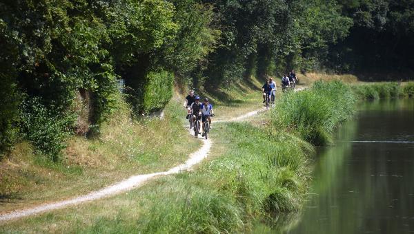 Canal d’Orléans  70 km de véloroutes pour profiter du printemps - canal