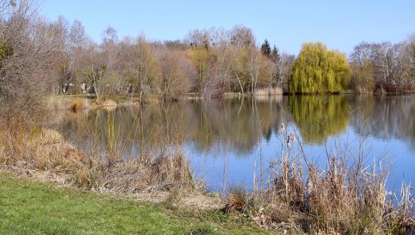 Espace naturel sensible du grand Rozeau et des Prés blonds à Châlette-sur-Loing