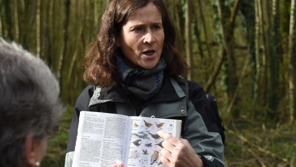 Loiret : sorties nature, suivez le guide ! Guide avec livre sur les oiseaux