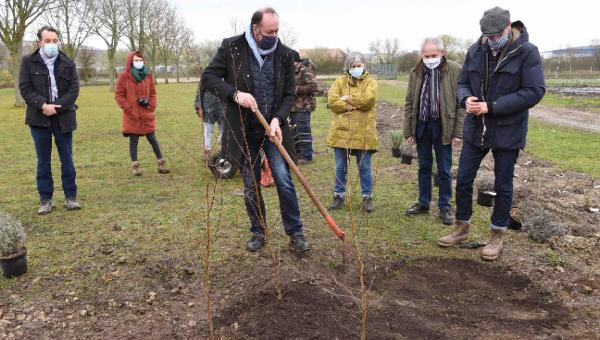 Insertion Loiret : à la roseraie de Morailles on sait planter des arbres - Marc Gaudet plantant un arbre