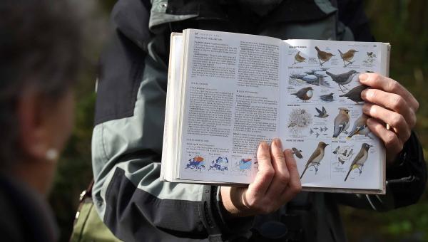 Nature dans le Loiret : les oiseaux, des concertistes hors pairs ! animation