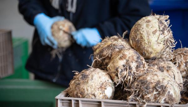 Collège de Montargis : le chef de la cuisine locale ! producteurs locaux