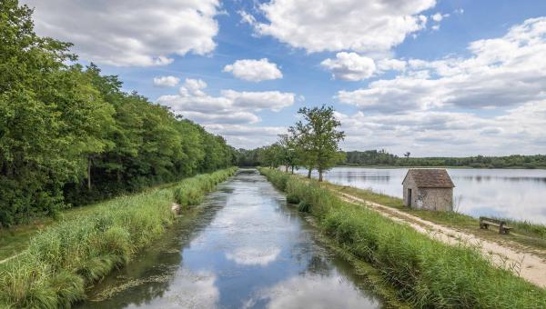 Loiret : le Département s’adapte au changement climatique - étang de la Noue Mazone