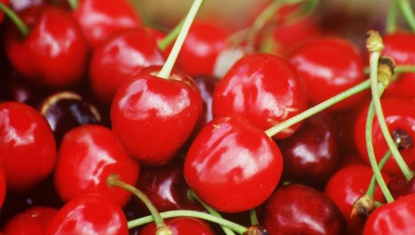 Le marché des producteurs donne à découvrir des produits locaux ! cerises