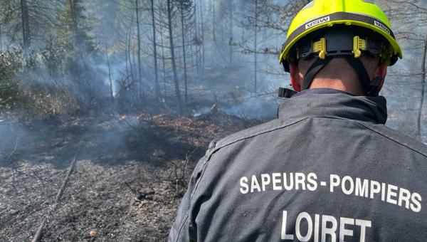 Les pompiers loirétains prêtent main forte au Canada et dans les Bouches-du-Rhône - Nicolas Rosello dans la forêt canadienne