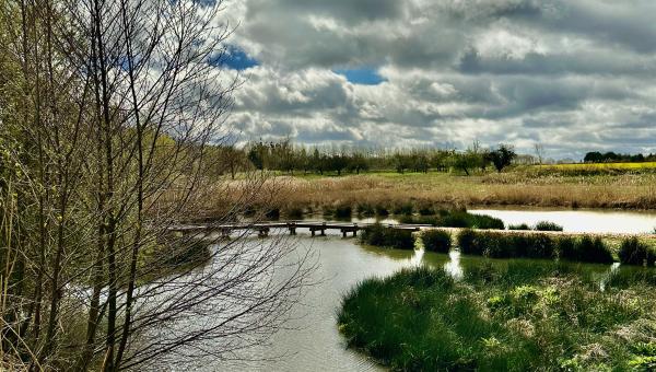 ENS des Pâtureaux à Chambon-la-Forêt et Nancray-sur-Rimarde