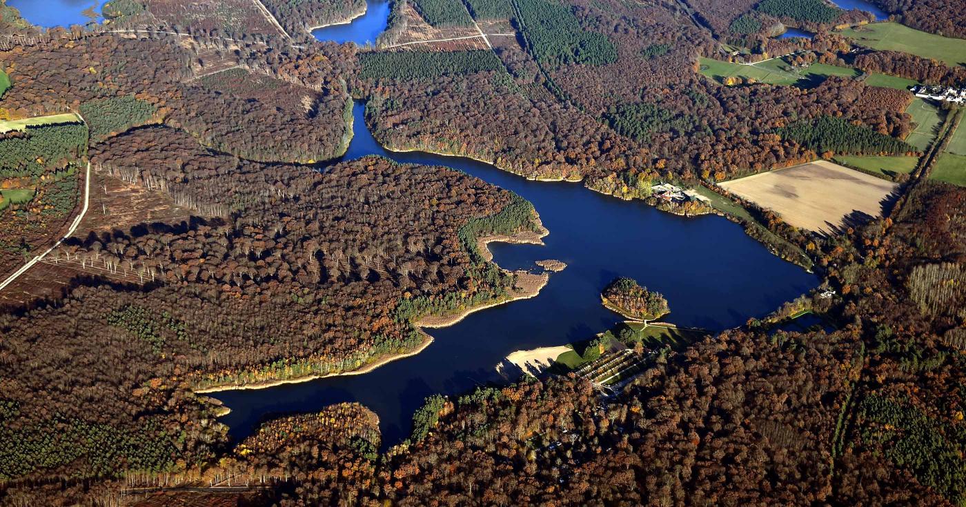 Vue aérienne de l'étang de la Vallée en forêt d'Orléans