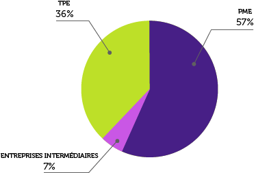 Type des titulaires des marchés attribués en 2015 par le Département