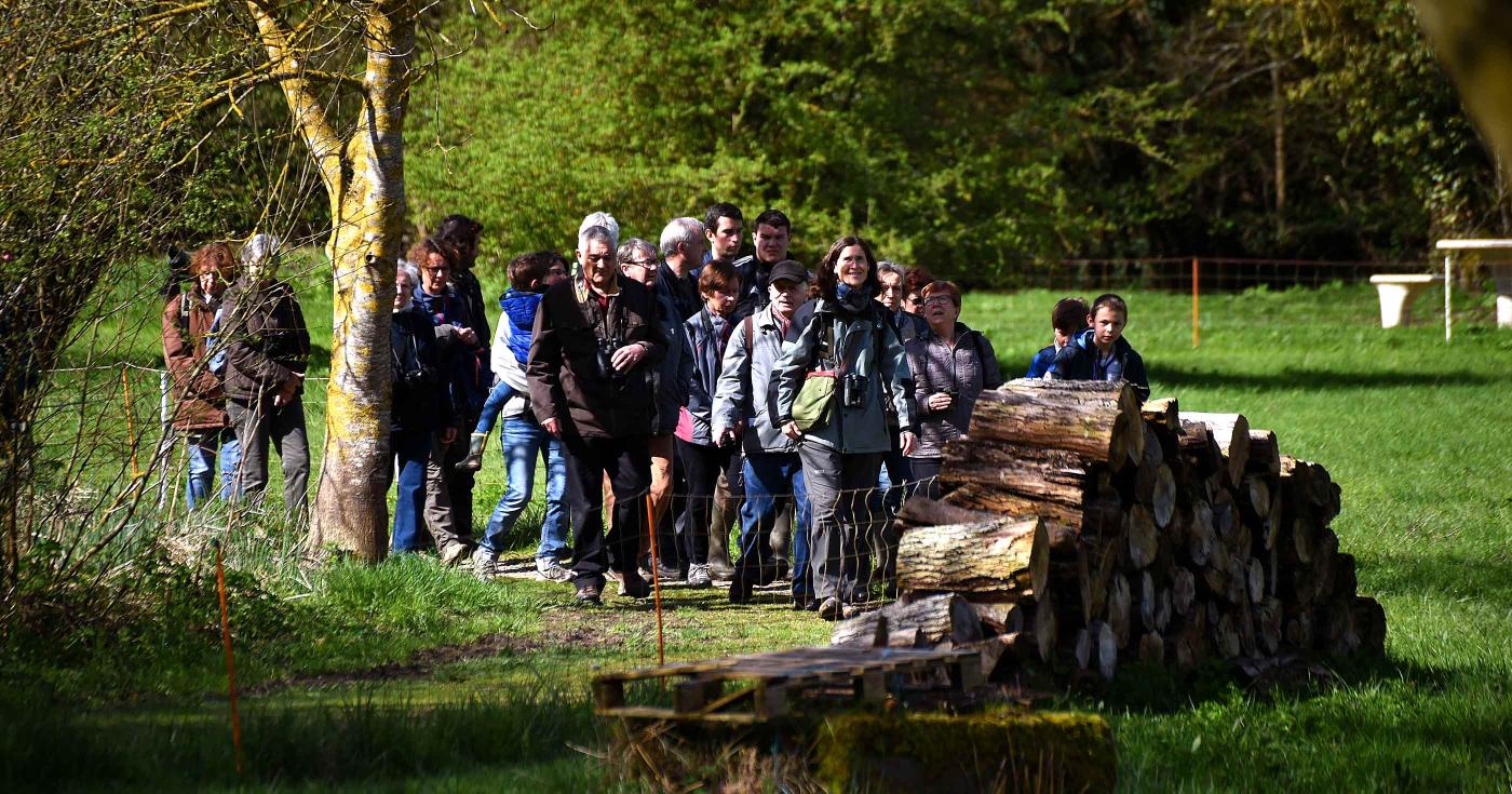 Parc des Mauves avec un groupe de promeneurs