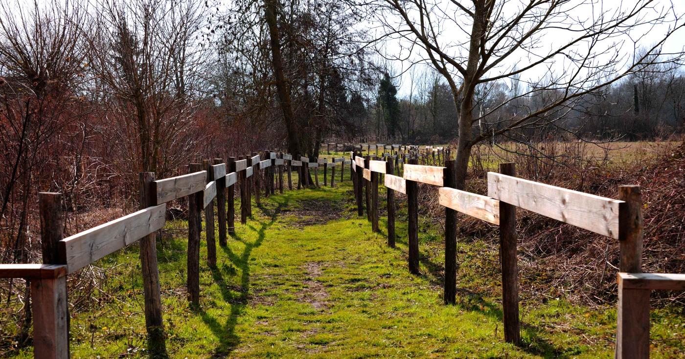 Chemin dans le parc de Villemandeur