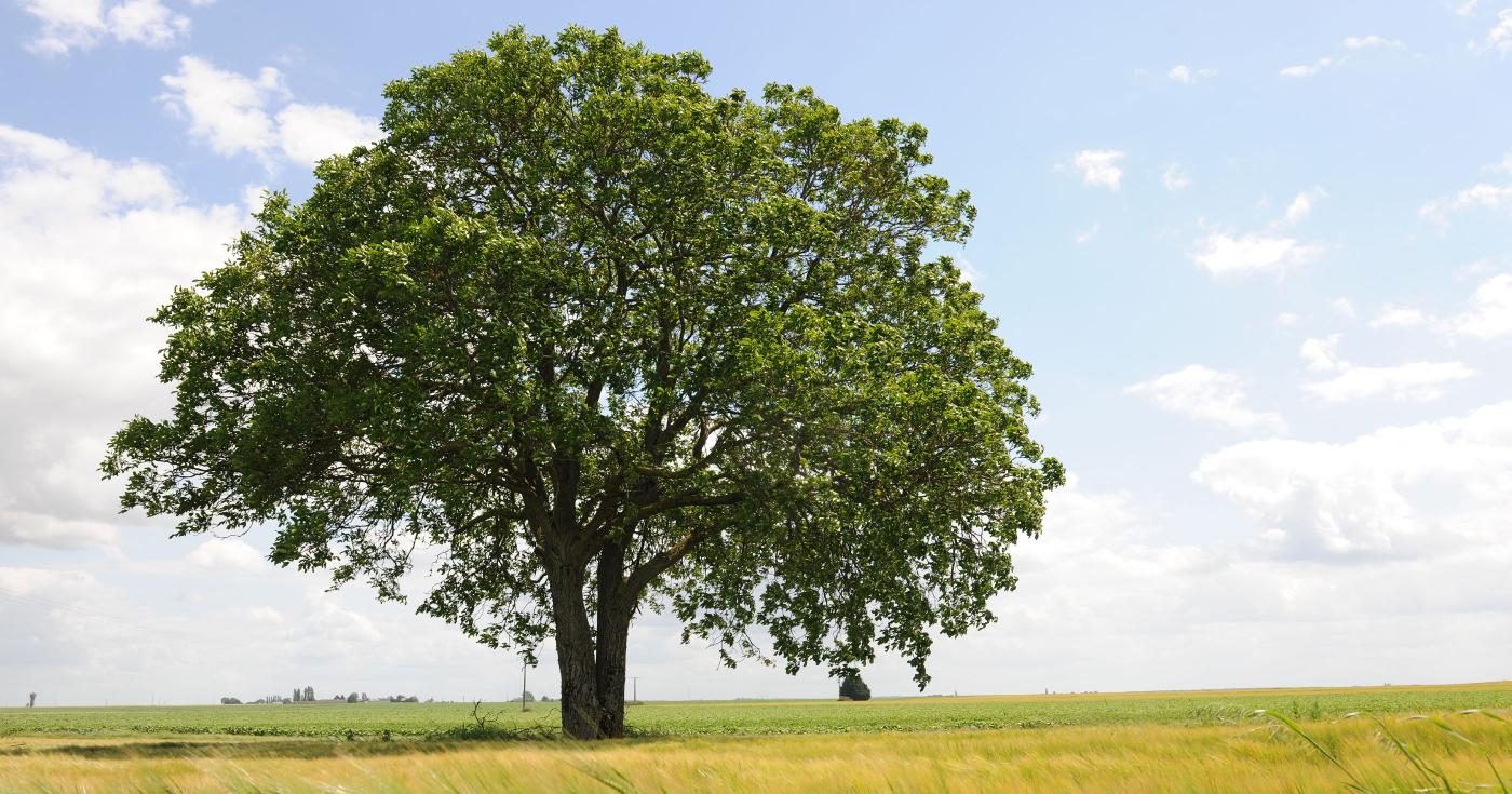 Programme Alimentaire Territorial Loiret