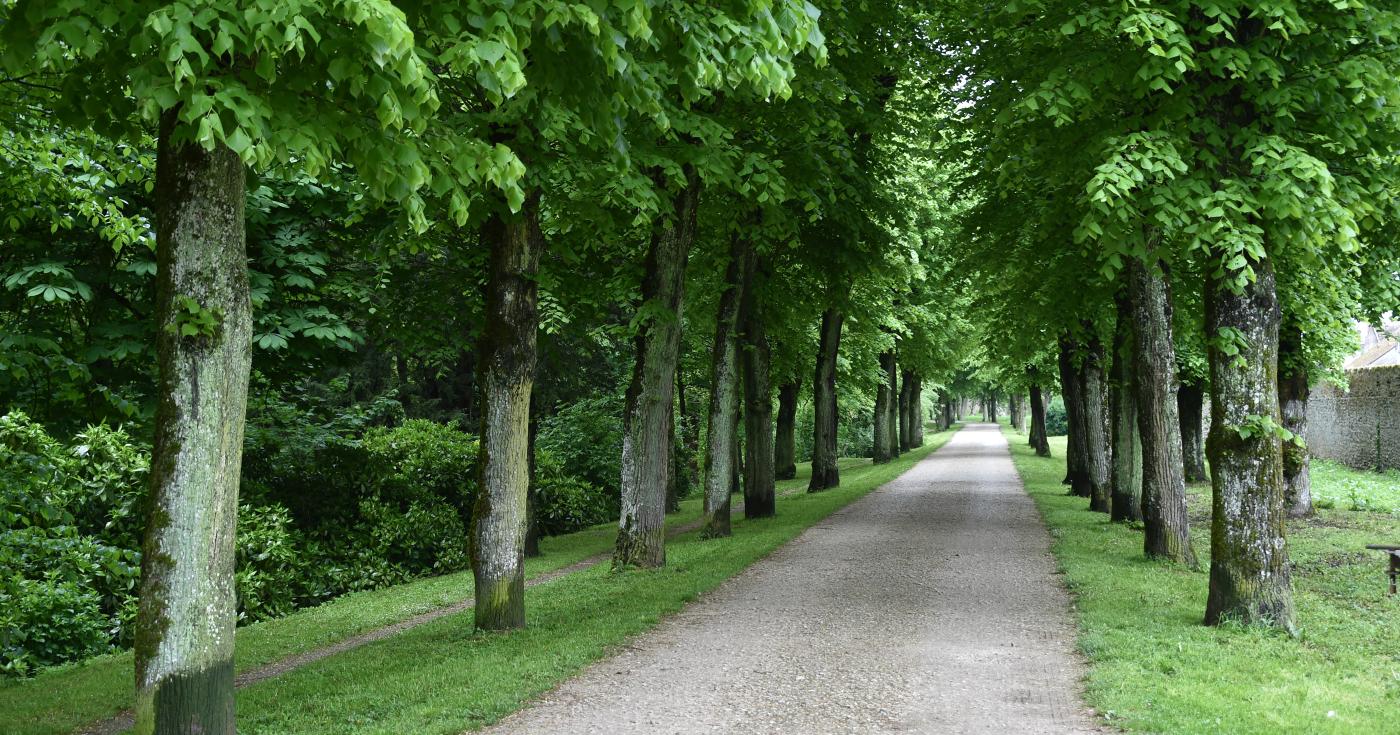 parc départemental de châteauneuf