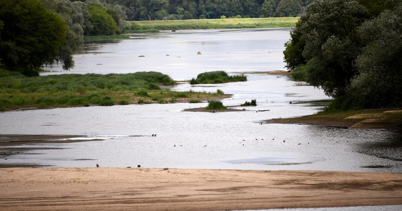 La Loire à Châtillon-sur-Loire, en juin 2019