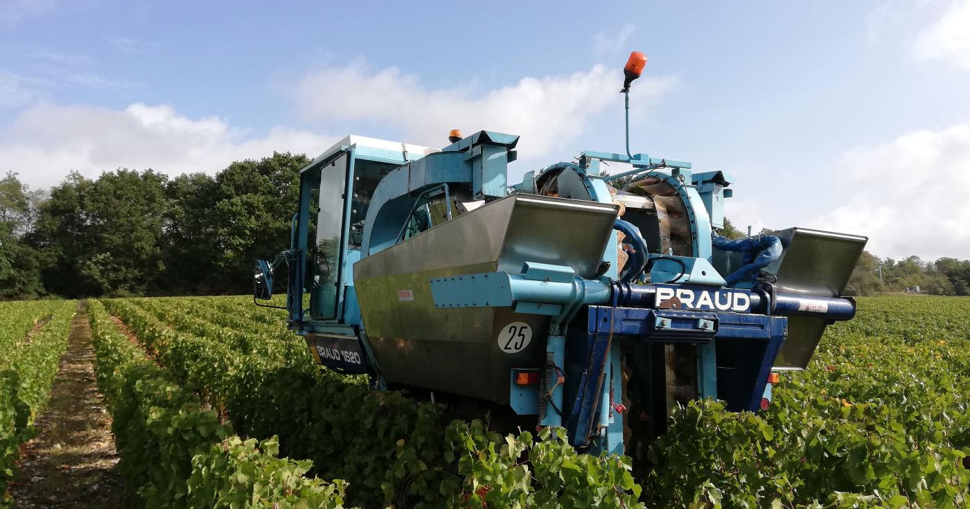 Vendanges Coteaux du Giennois