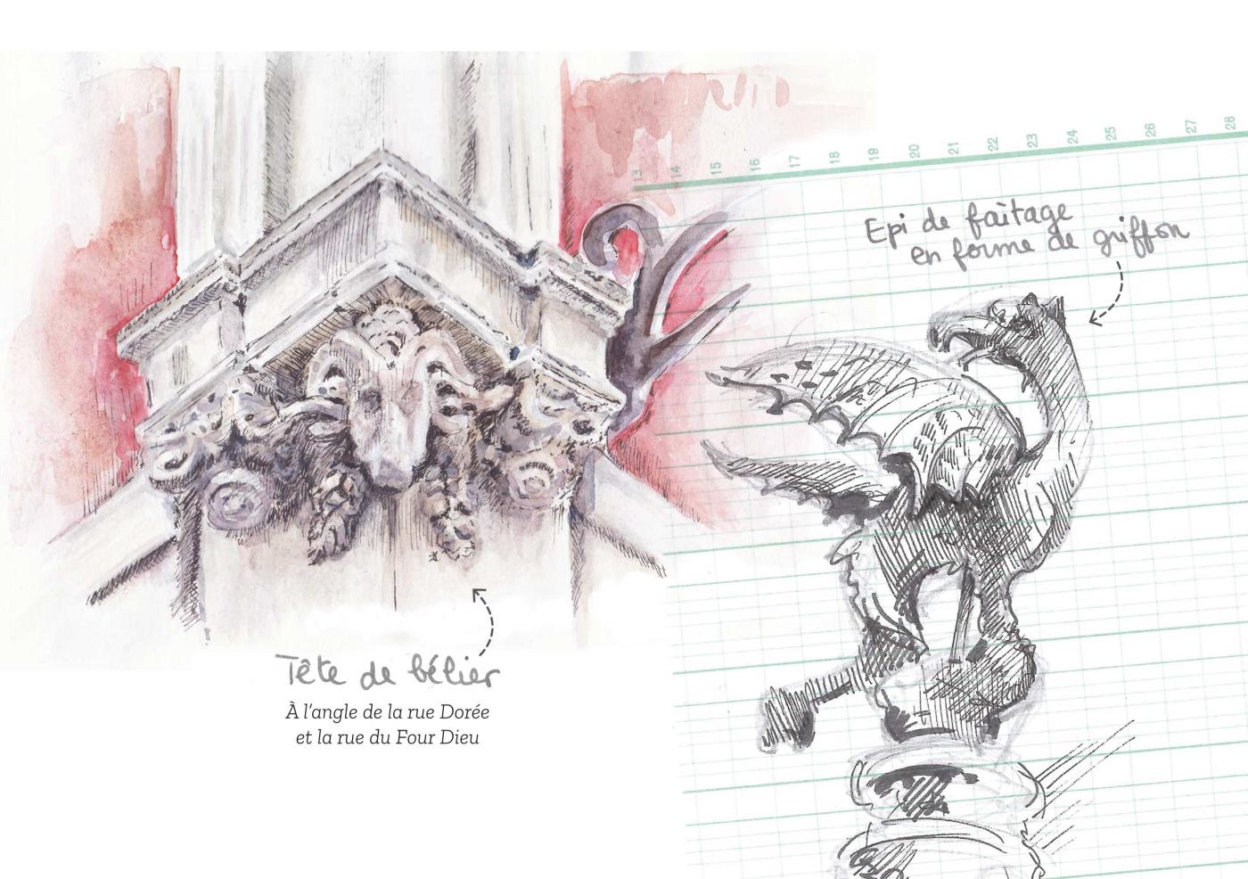 Extrait carnet de croquis le nez en l'air 3 griffon