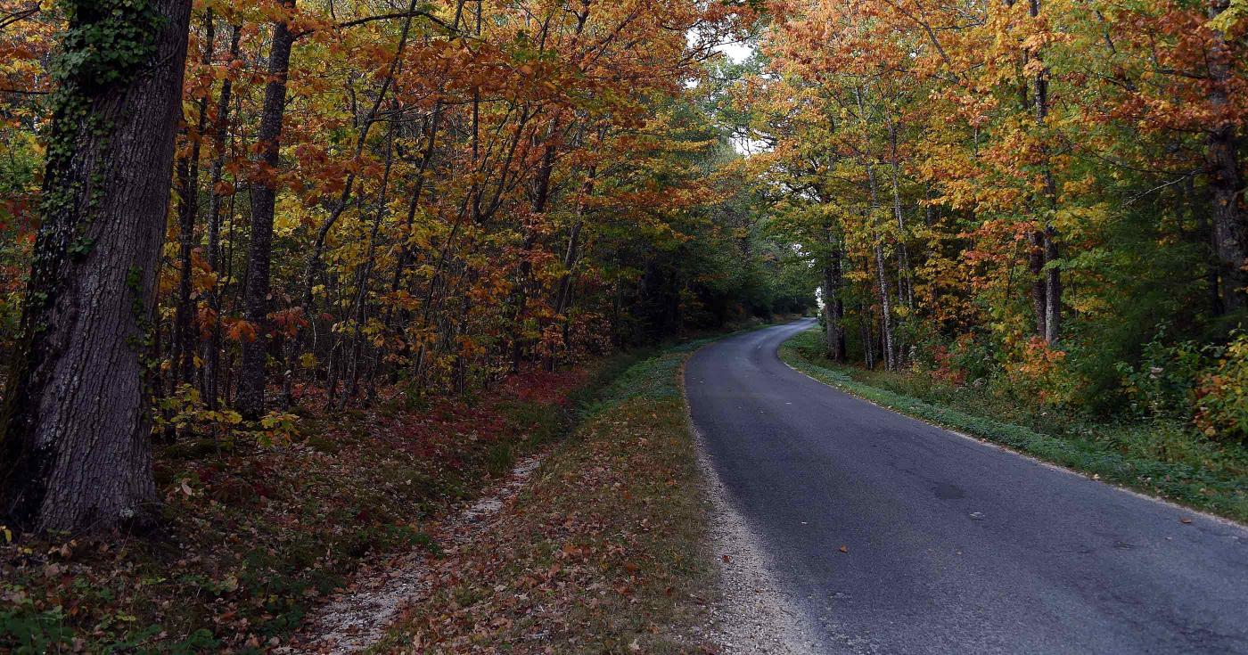 Fête de la science 2019. Atelier : Crise du logement en forêt ? au CNRS d'Orléans. Route + forêt