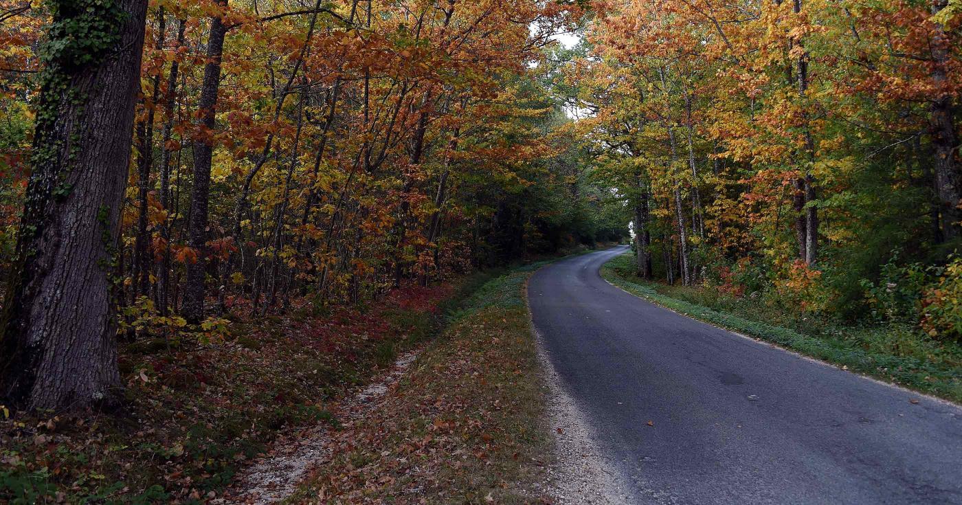 Fête de la science 2019. Atelier : Crise du logement en forêt ? au CNRS d'Orléans. Route + forêt