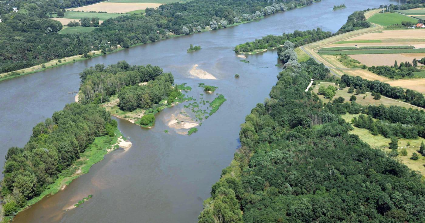 Fête de la science 2019 - Comment les îles de Loire sont-elles colonisées par la forêt ?