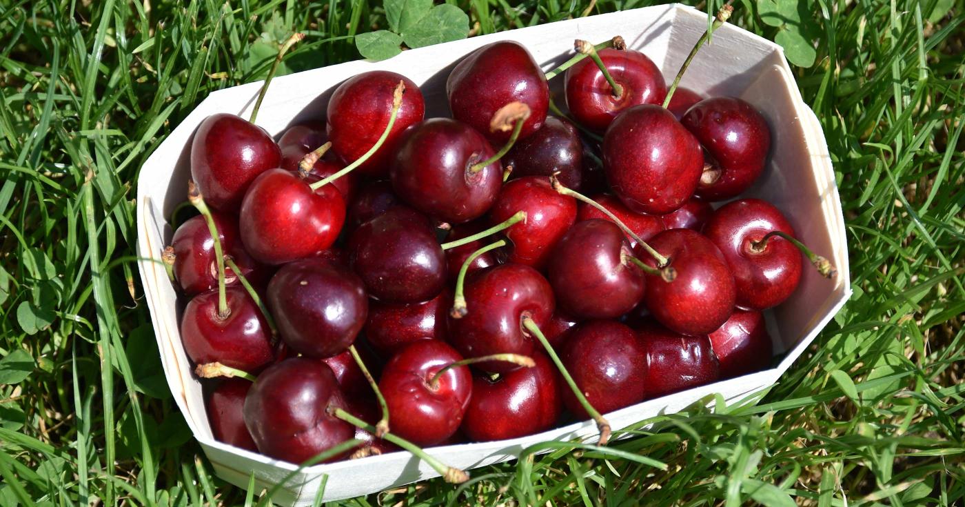 Cuisiniers du dimanche, à vos fourneaux ! Paquet de cerises sur l'herbe