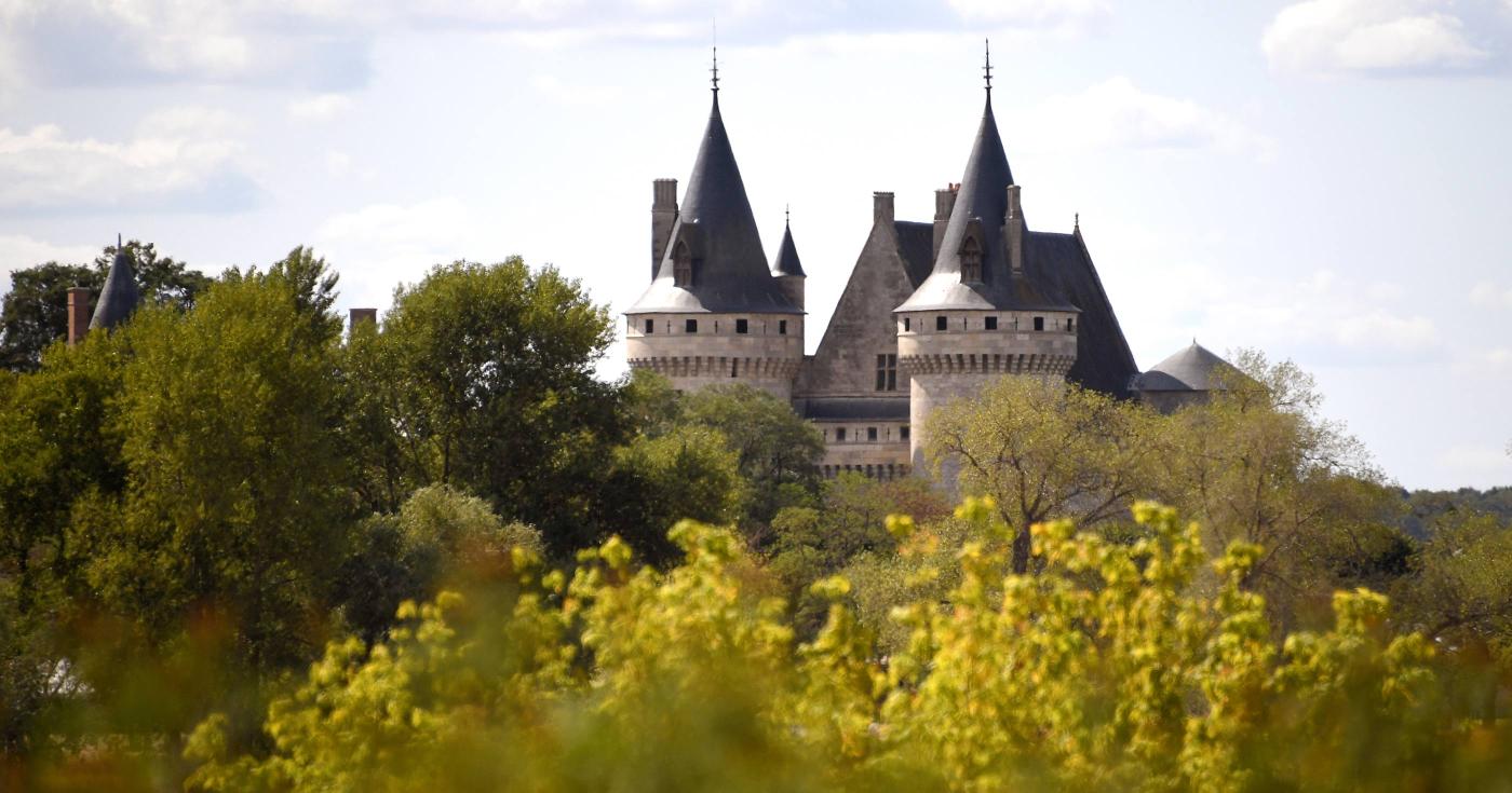 Rachel de Cochefilet - Château de Sully 