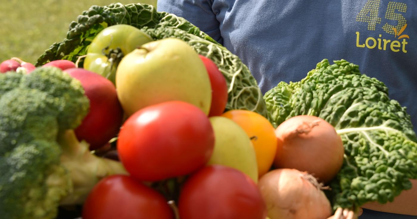 Approlocal - panier de légumes