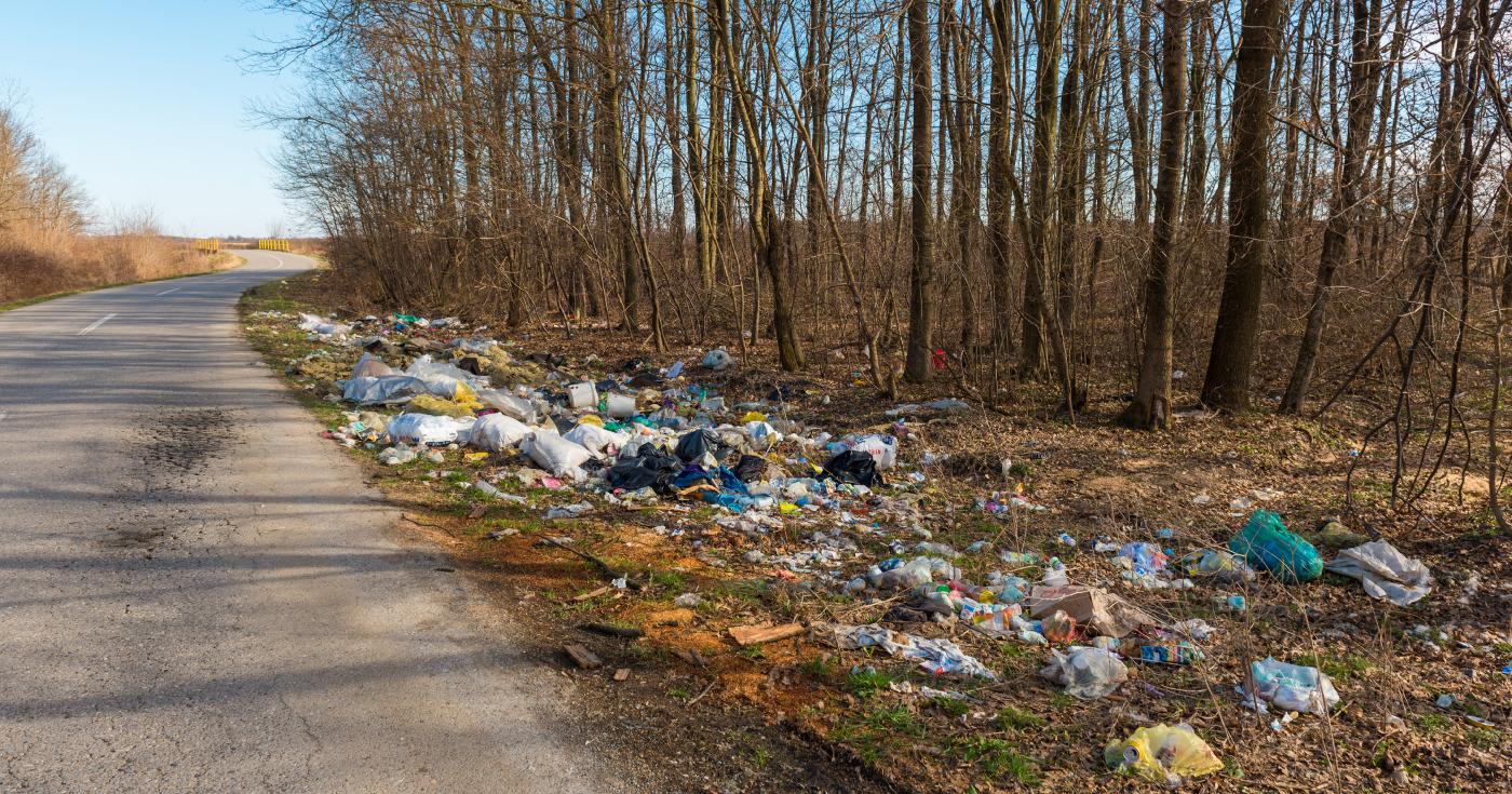 Déchets jonchant le bord d'une route