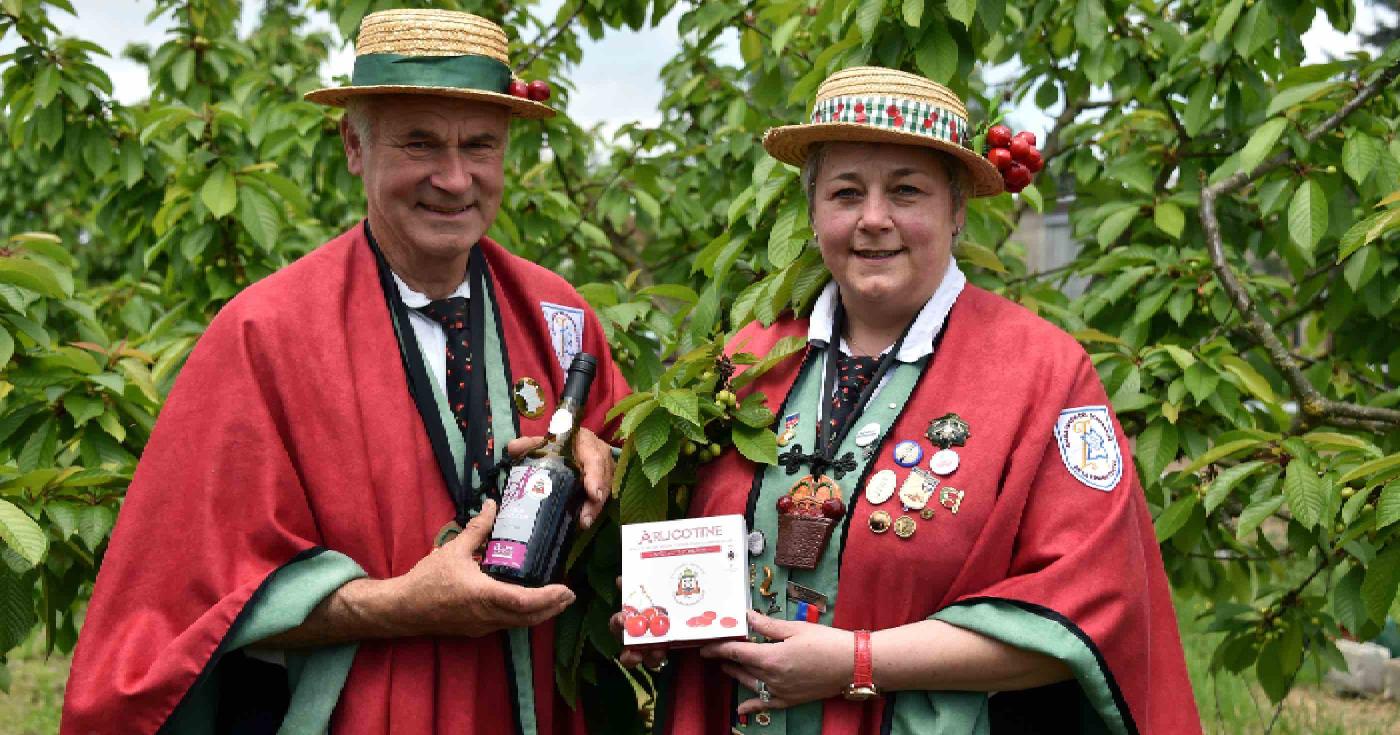 Le temps des cerises est revenu - Confrérie des cerises