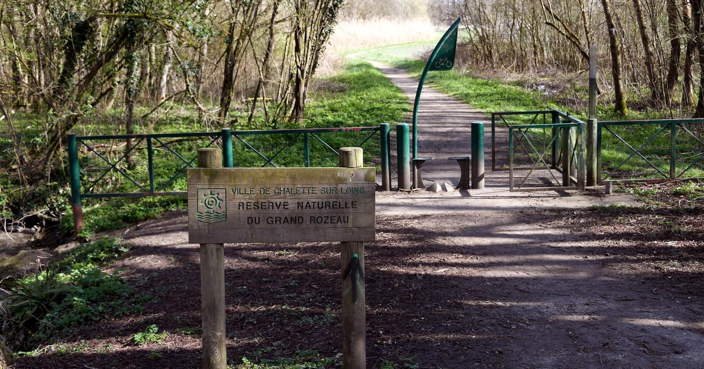 Espace naturel sensible du grand Rozeau et des Prés blonds à Châlette-sur-Loing 1