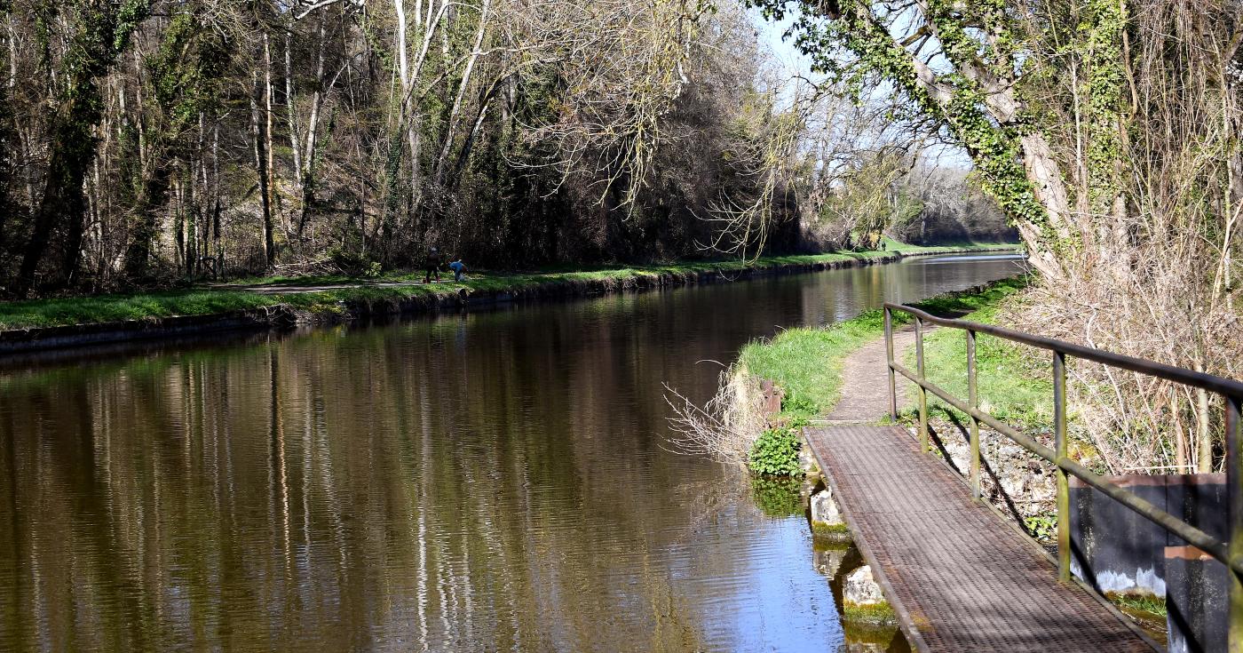 Espace naturel sensible du grand Rozeau et des Prés blonds à Châlette-sur-Loing 2