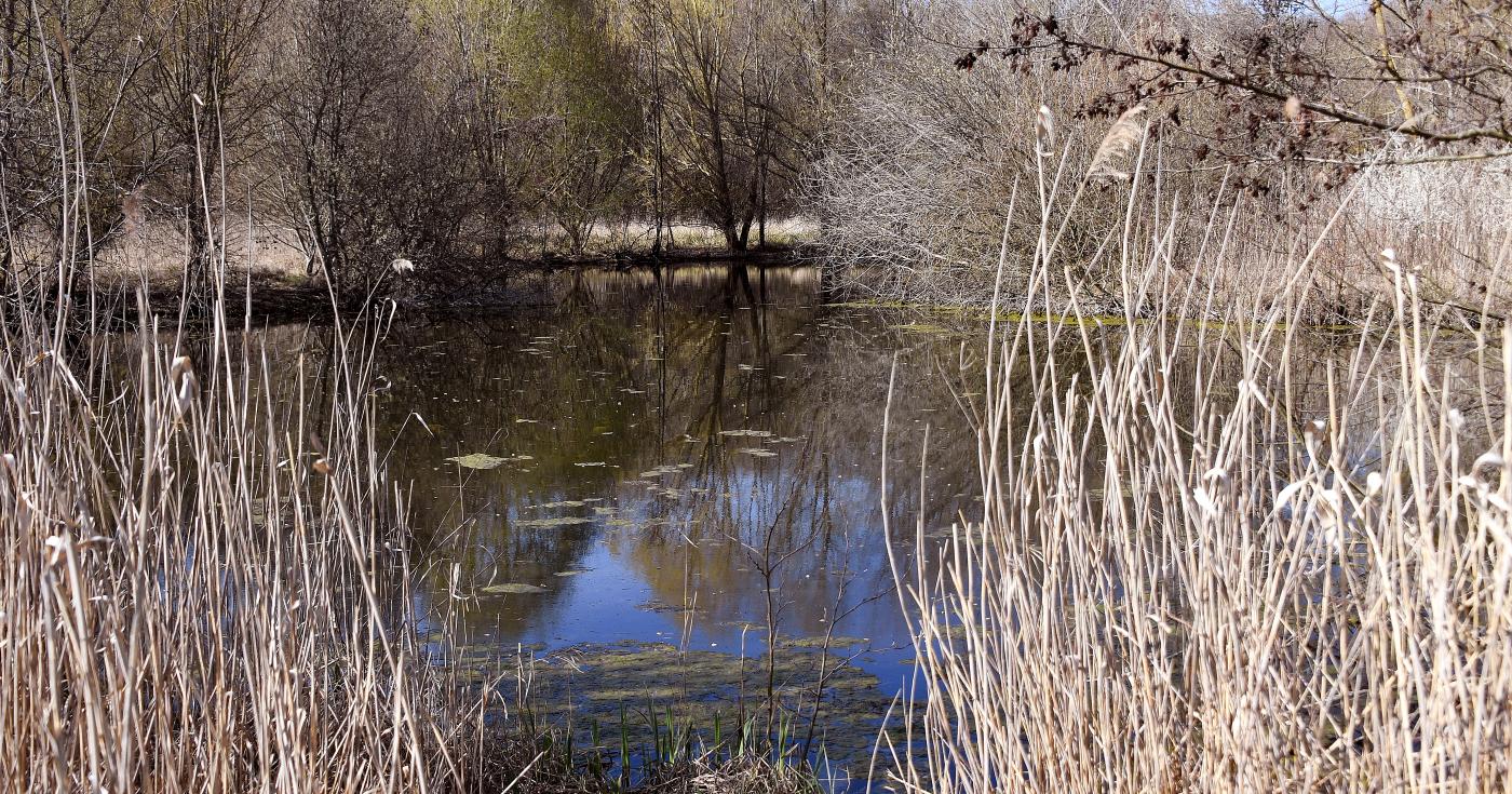 Espace naturel sensible du grand Rozeau et des Prés blonds à Châlette-sur-Loing 3