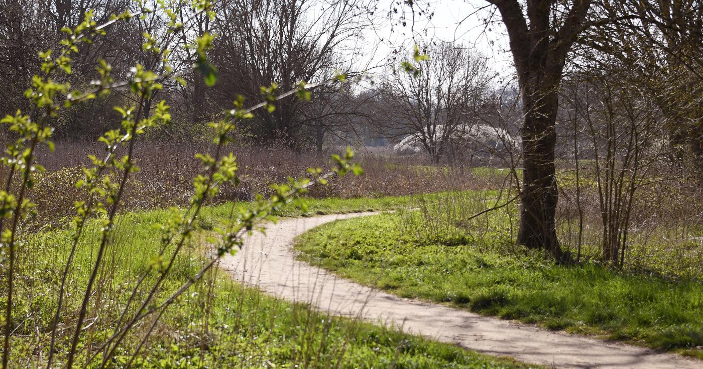 Espace naturel sensible du grand Rozeau et des Prés blonds à Châlette-sur-Loing 4