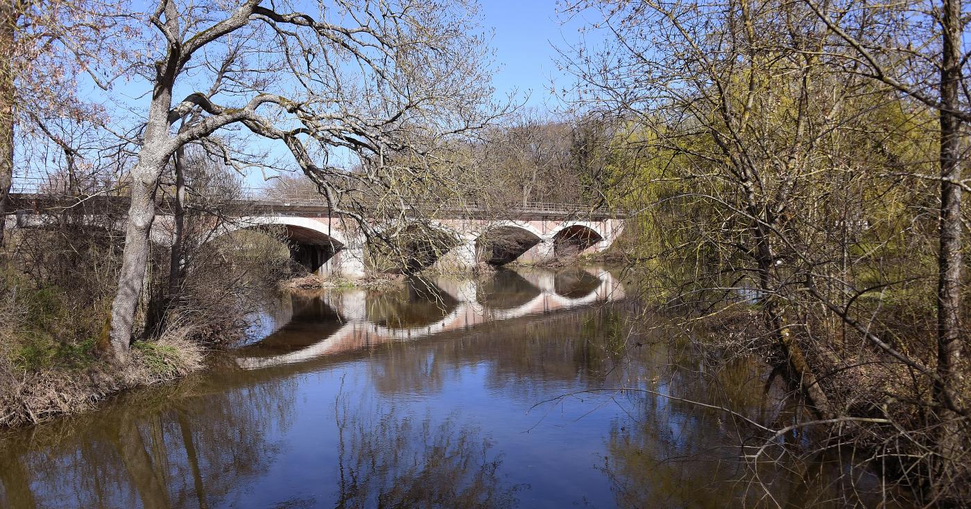 Espace naturel sensible du grand Rozeau et des Prés blonds à Châlette-sur-Loing 5