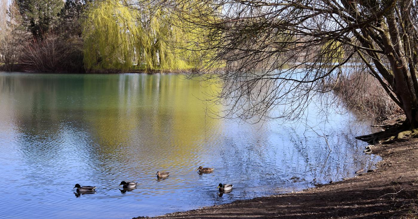 Espace naturel sensible du grand Rozeau et des Prés blonds à Châlette-sur-Loing 7