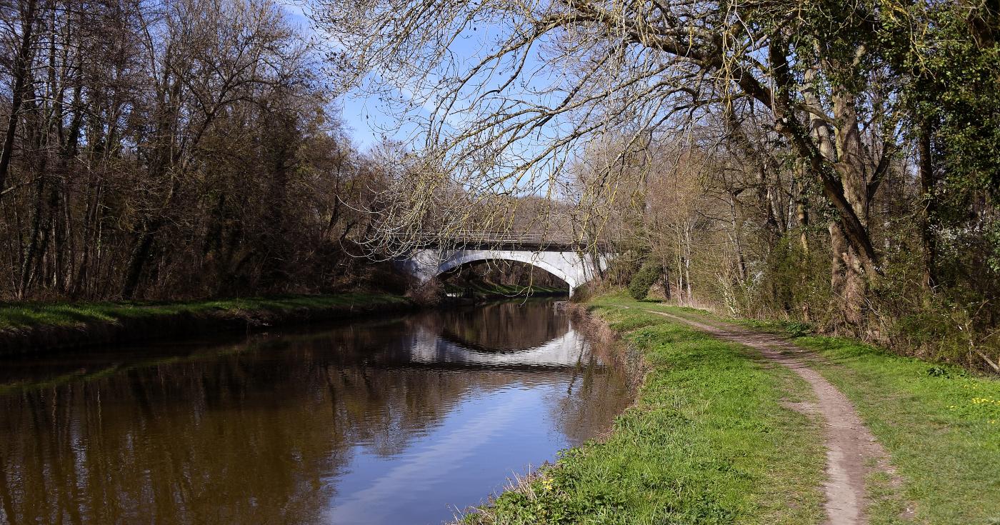 Espace naturel sensible du grand Rozeau et des Prés blonds à Châlette-sur-Loing 8