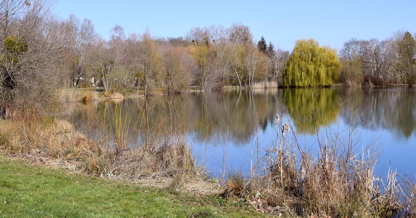 Espace naturel sensible du grand Rozeau et des Prés blonds à Châlette-sur-Loing