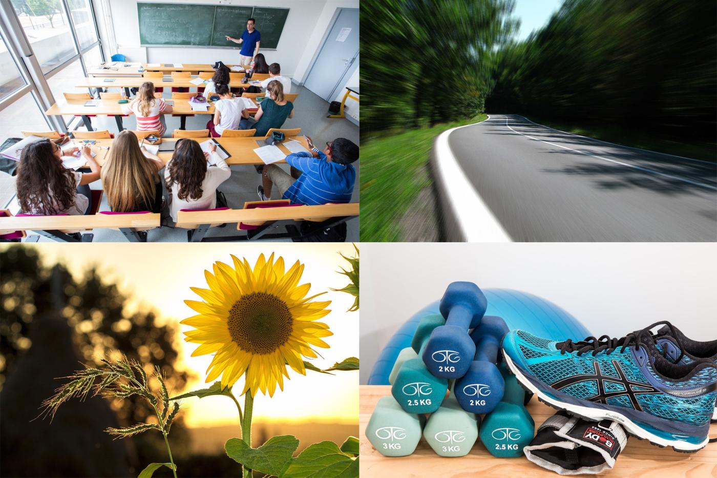 Le Département du Loiret recrute - education, routes, environnement, solidarité