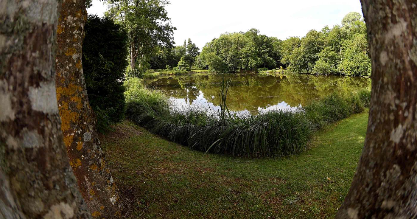 Avec l’arrivée du printemps, le château de Chamerolles rouvre ses jardins - étang