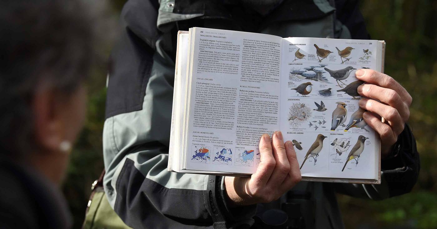 Nature dans le Loiret : les oiseaux, des concertistes hors pairs ! animation