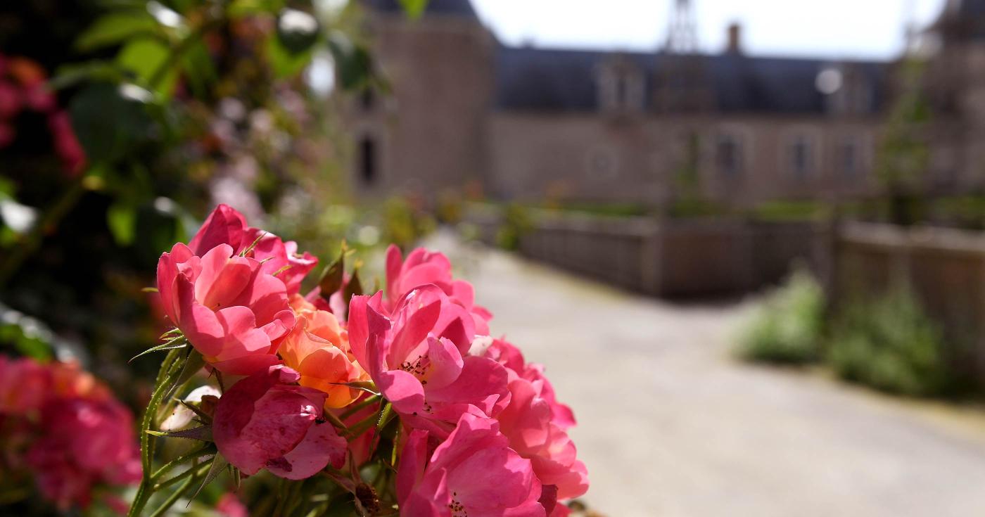 Les conseils de Jean-Claude, jardinier au château de Chamerolles - roses + chateau