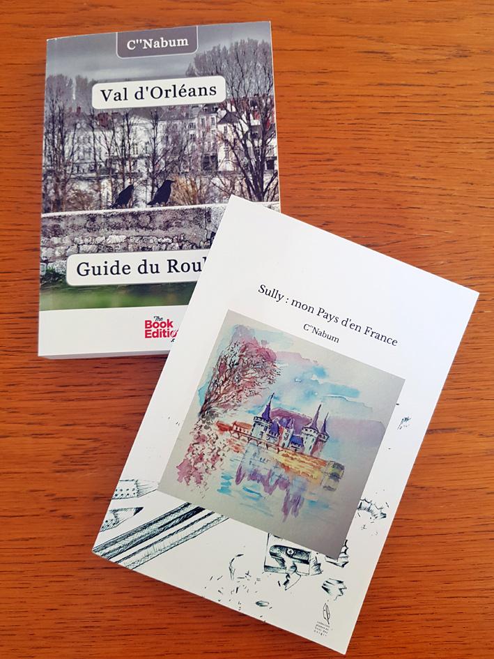 Des idées de lecture pour l'été - Sully : mon Pays d’en France - 17 €    Val d’Orléans – Guide du roublard - 18 €  