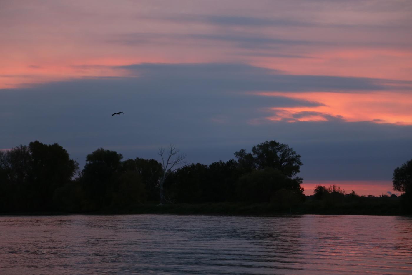 Quand la Loire met l’eau à la bouche - aube