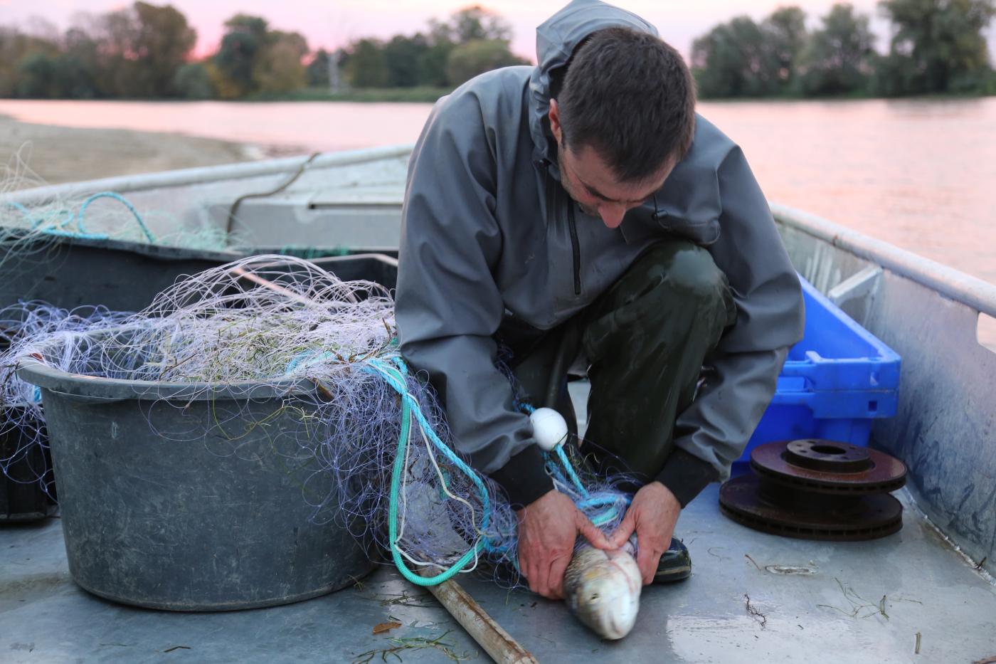 Quand la Loire met l’eau à la bouche - poisson