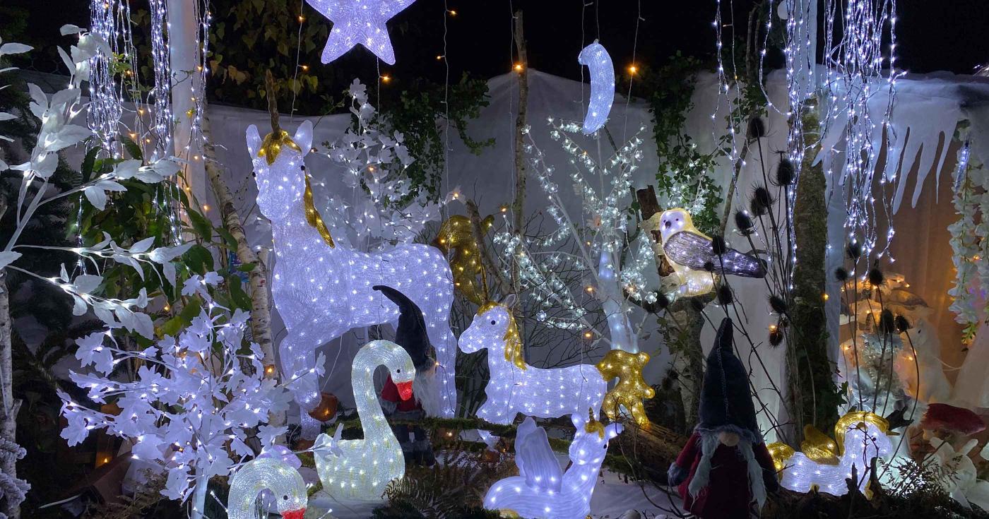 Que faire, dans le Loiret, avec les enfants pendant les vacances de Noël ? illumination Lailly-en-Val