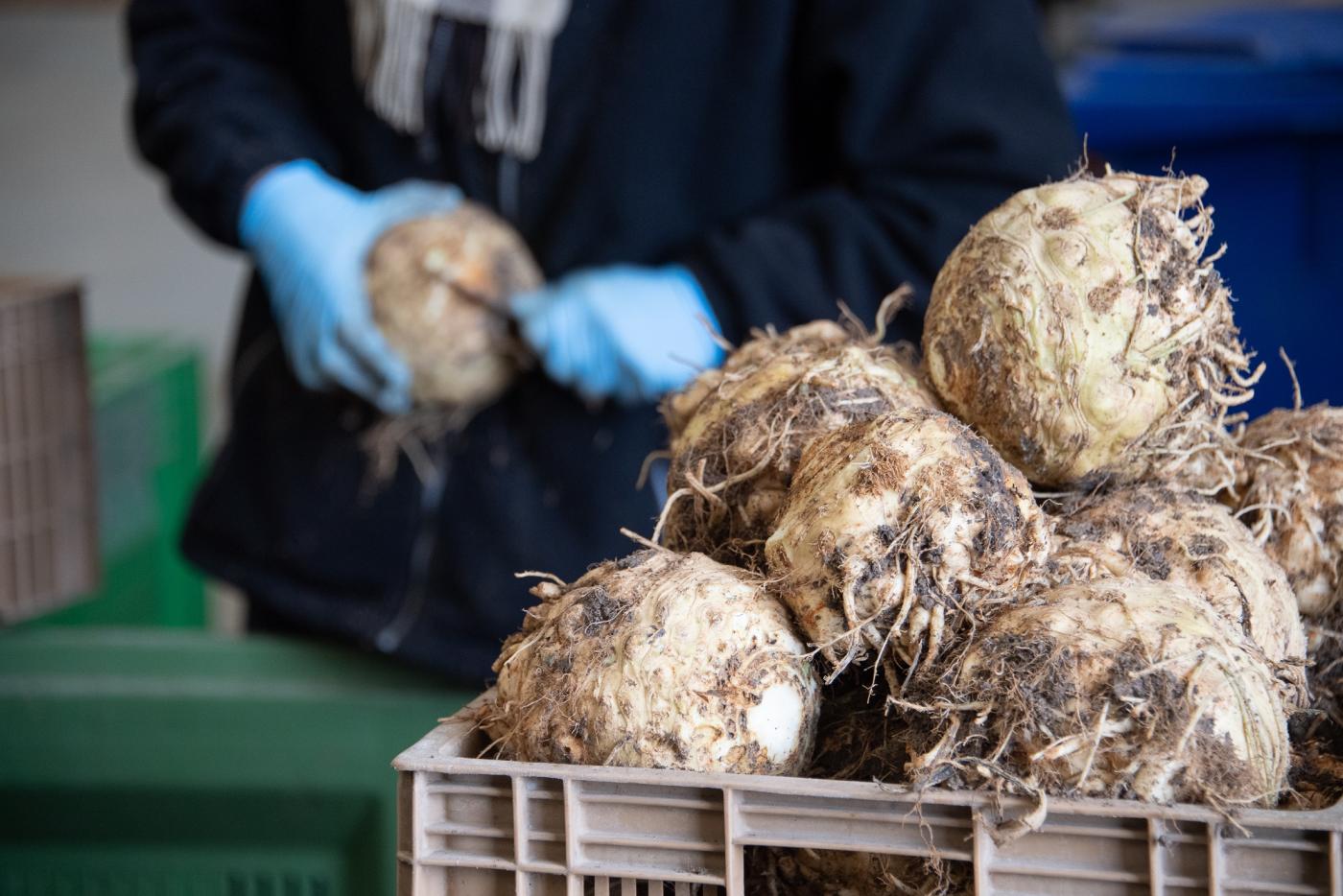 Collège de Montargis : le chef de la cuisine locale ! producteurs locaux