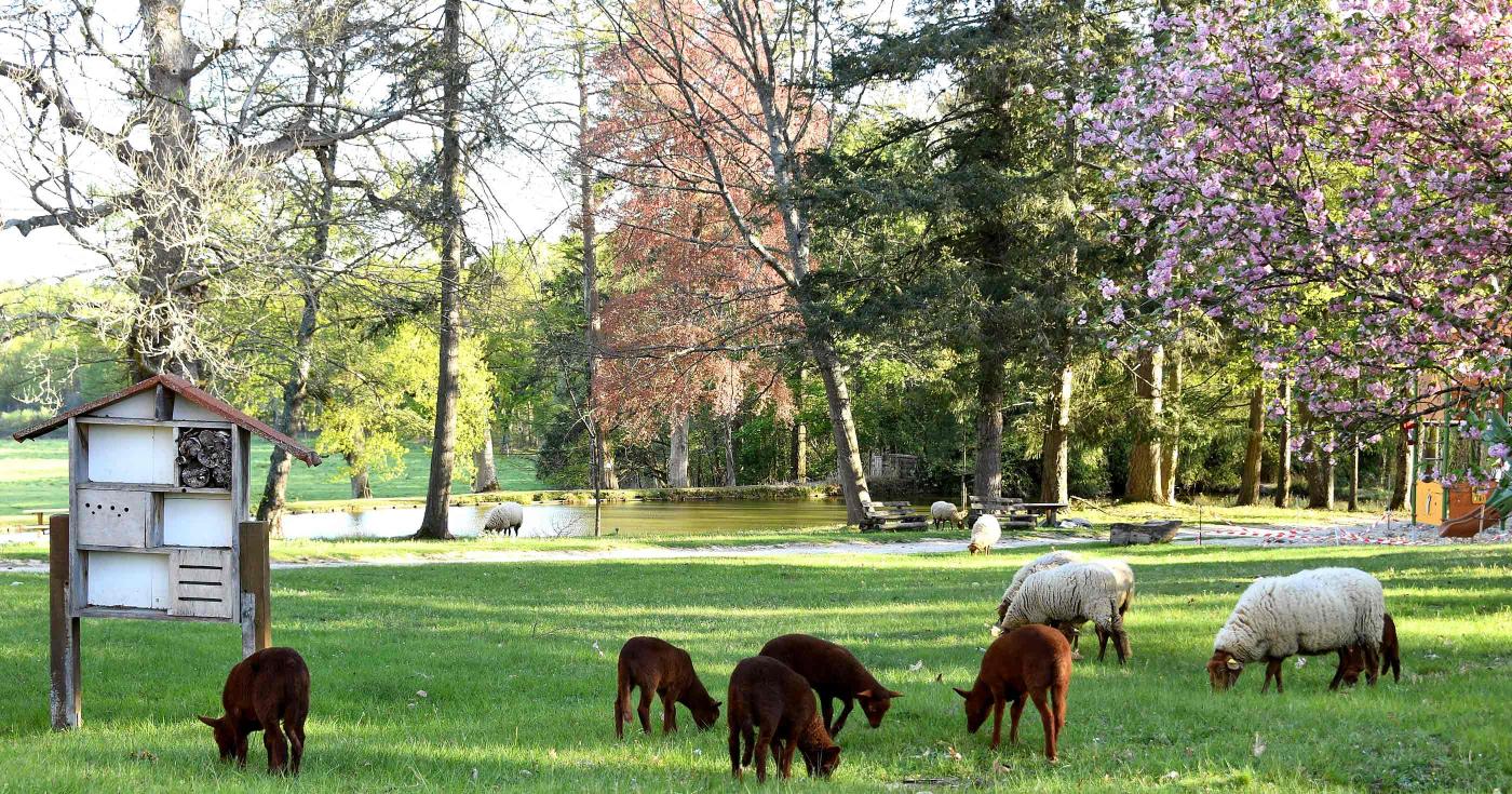 Les Rendez-vous de la nature dans le Loiret : édition 2022 - domaine du Ciran