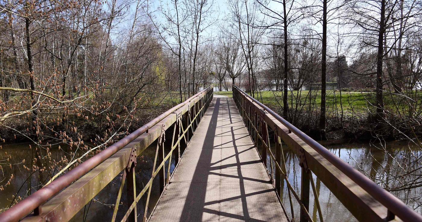 Les Rendez-vous de la nature dans le Loiret : édition 2022 grands rozeaux